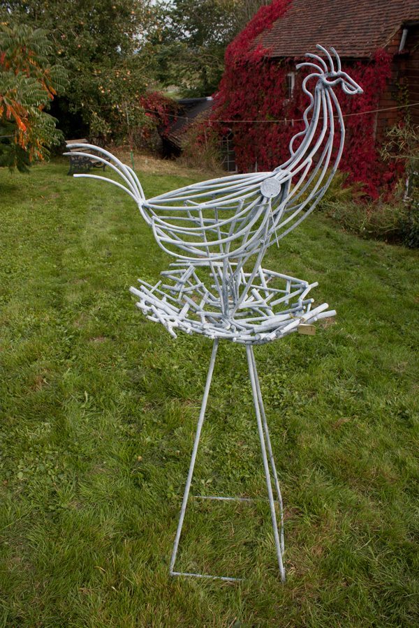 Chicken on a nest