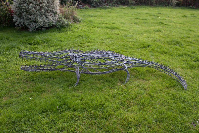 crocodile